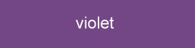 Farbe_violet_fiore_G1195