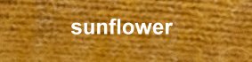 Farbe_sunflower_cette_262